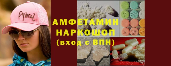 гидра Арсеньев