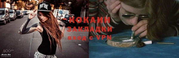 гидра Арсеньев
