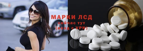 гидра Арсеньев