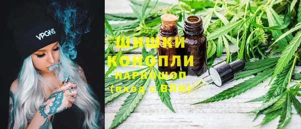 гидра Арсеньев
