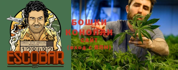 гидра Арсеньев